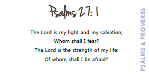 Simply Scripture Promises of Psalms & Proverbs - Memory Cards - (PRINTED/LAMINATED)