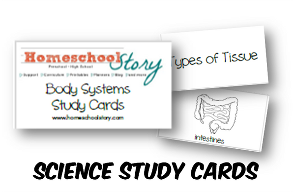 Science - Human Body Study Cards *UPDATED* Cycle 3 (INSTANT DOWNLOAD)
