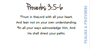 Simply Scripture Promises of Psalms & Proverbs - Memory Cards - (PRINTED/LAMINATED)