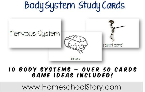 Science - Human Body Study Cards *UPDATED* Cycle 3 (INSTANT DOWNLOAD)